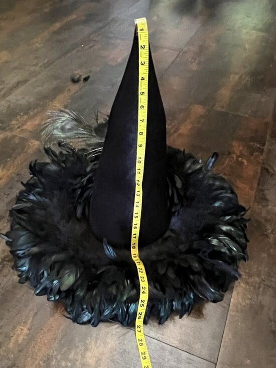 One-of-a-Kind Handmade Felt Witch\'s Hat with Nest of Feathers & Raven/Crow main image 8